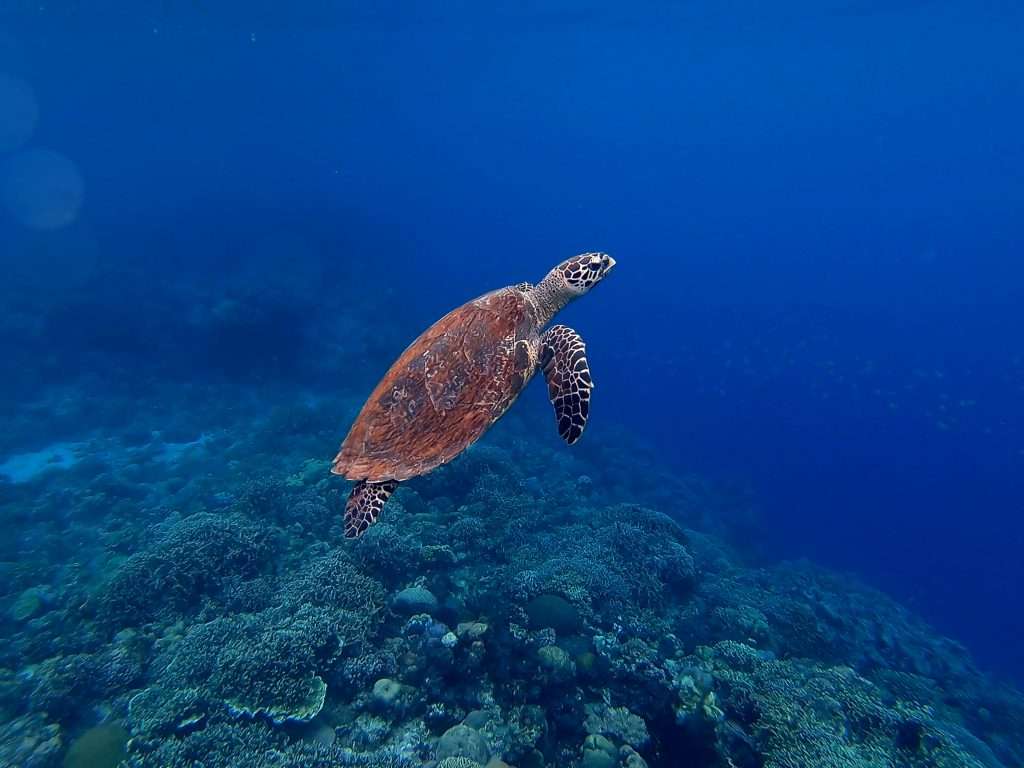 olga ga 5a2oypQA4P8 unsplash