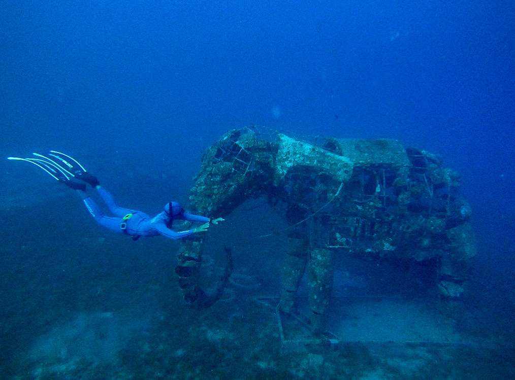 AFFE278E FFAB 41F7 A82D 1ED74D128BAC