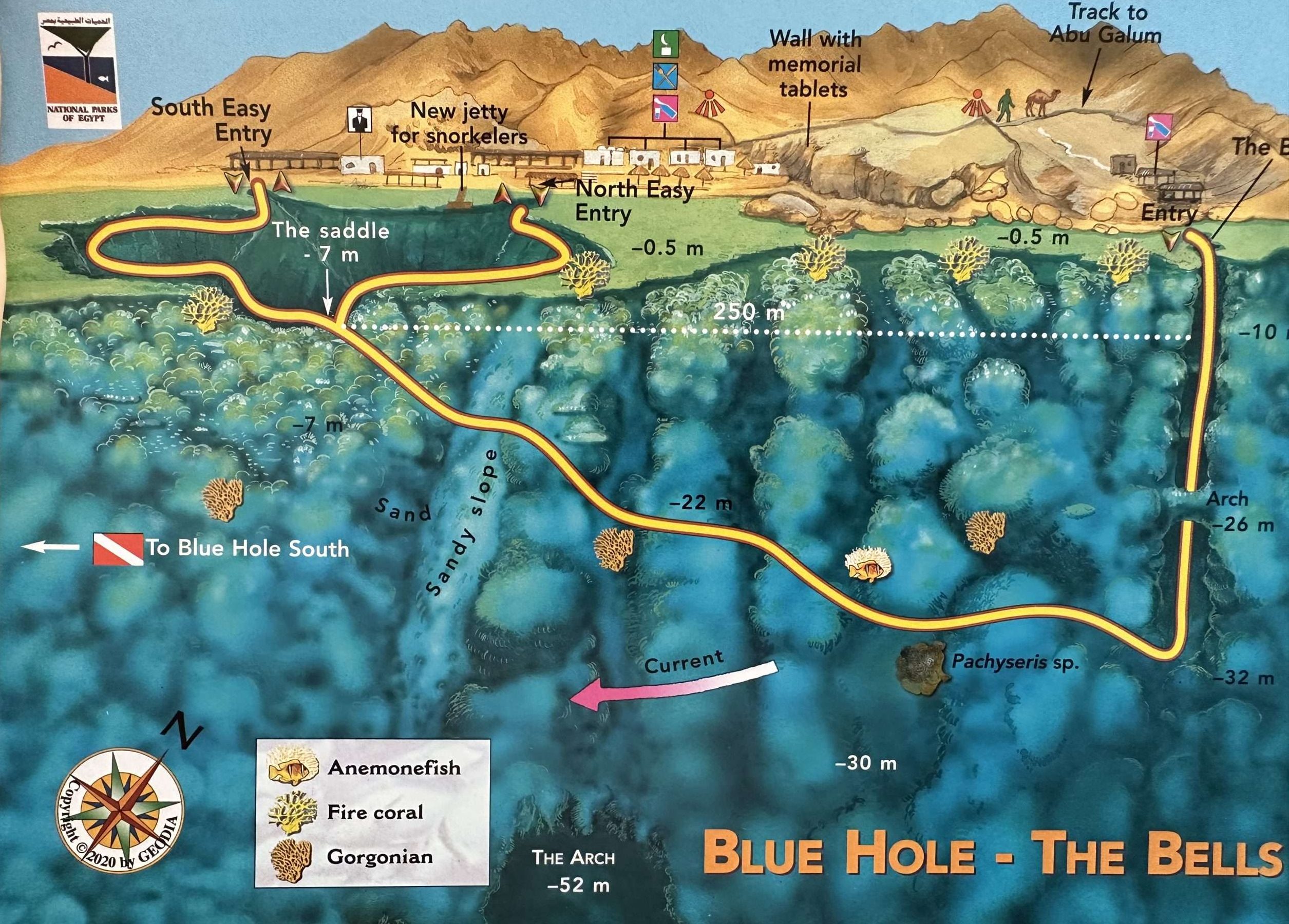 Dahab, Egypt Freediving Camp 2026 5 IMG 6806 scaled e1733571678998