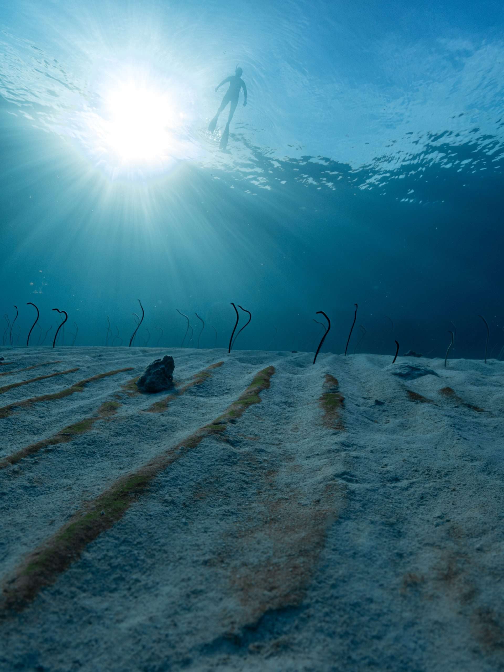 P4160717 Enhanced NR scaled