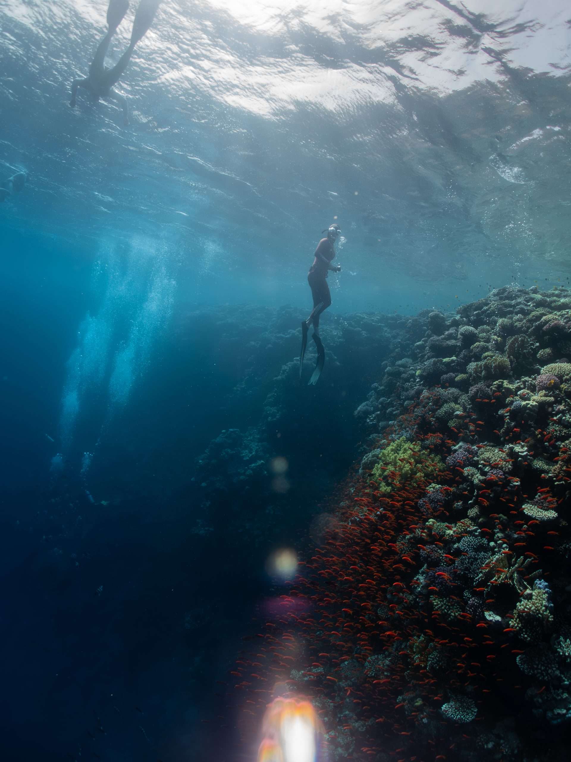 Dahab, Egypt Freediving Camp 2026 14 P4190835 Enhanced NR scaled