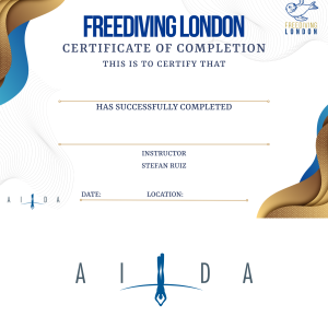 AIDA 2 Pool Manual, Exam, Online Review Session & Certification
