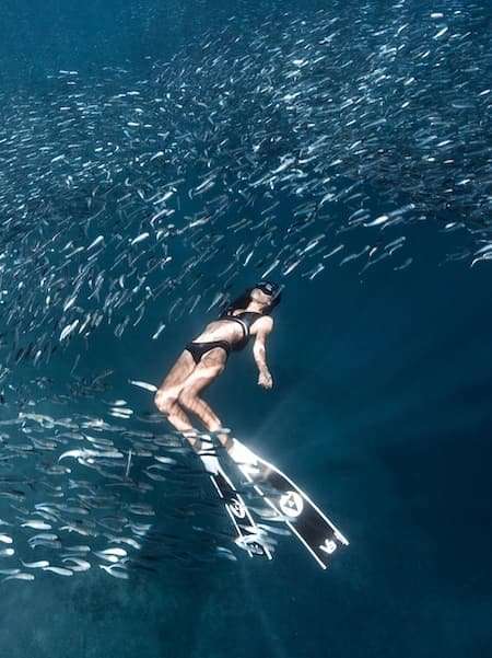 Alchemy V3-30 Plus 17 Alchemy V3-30 Plus - Image 17