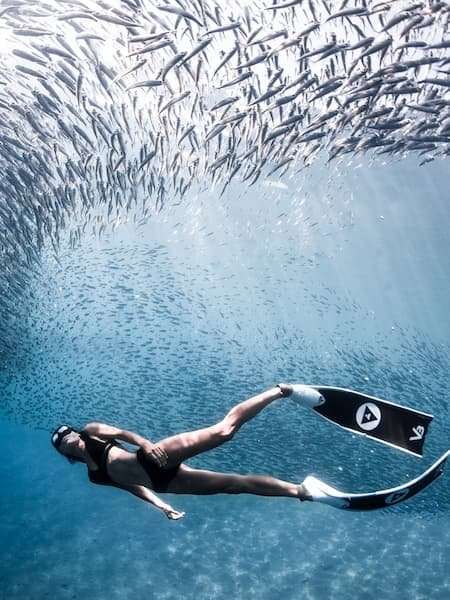 Alchemy V3-30 Plus 18 Alchemy V3-30 Plus - Image 18