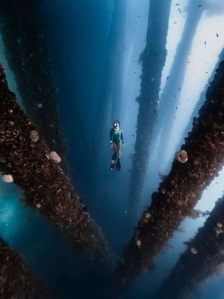 Alchemy V3-30 Plus 19 Alchemy V3-30 Plus - Image 19