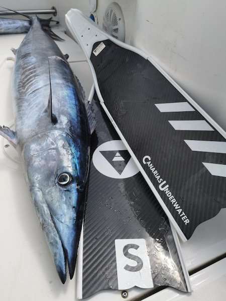 Alchemy S-30 Fins 19 Alchemy S-30 Fins - Image 19