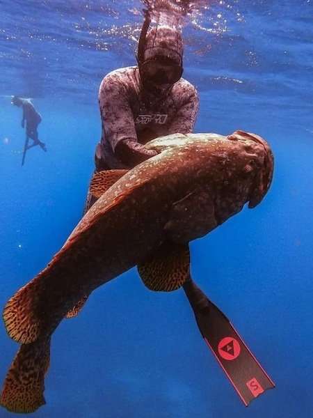 Alchemy S-30 Fins 21 Alchemy S-30 Fins - Image 21