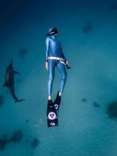 Alchemy V3-30 Pro 22 Alchemy V3-30 Pro - Image 22