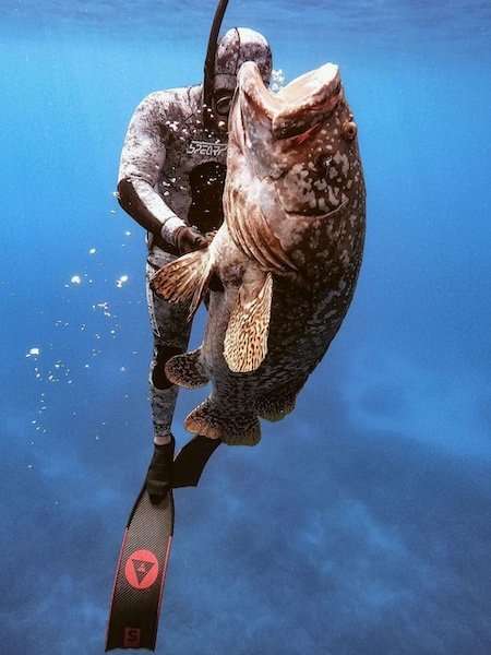 Alchemy S-30 Fins 23 Alchemy S-30 Fins - Image 23