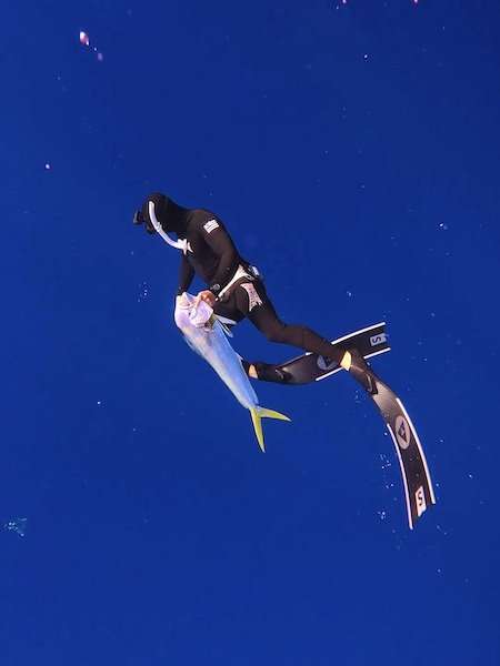 Alchemy S-30 Fins 24 Alchemy S-30 Fins - Image 24