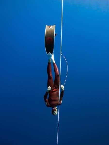 alchemy V3-30 20 alchemy V3-30 - Image 20