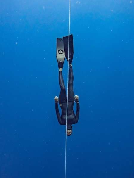 alchemy V3-30 18 alchemy V3-30 - Image 18