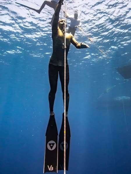 alchemy V3-30 19 alchemy V3-30 - Image 19