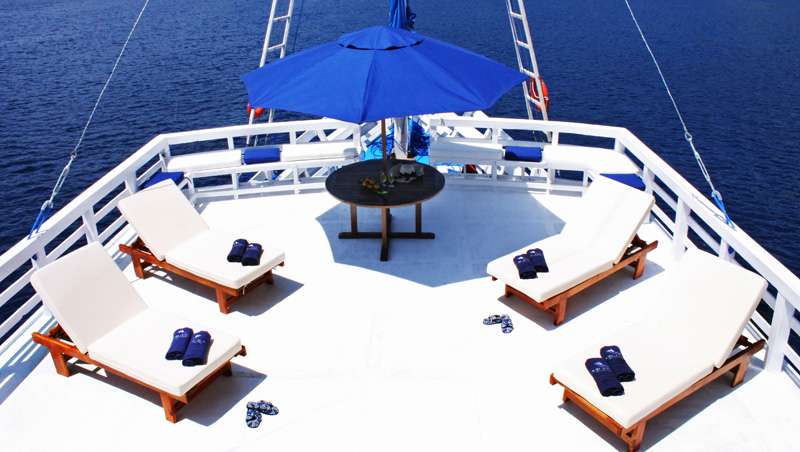 Raja ampat info 9 popp5