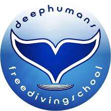 Deep Humans Products