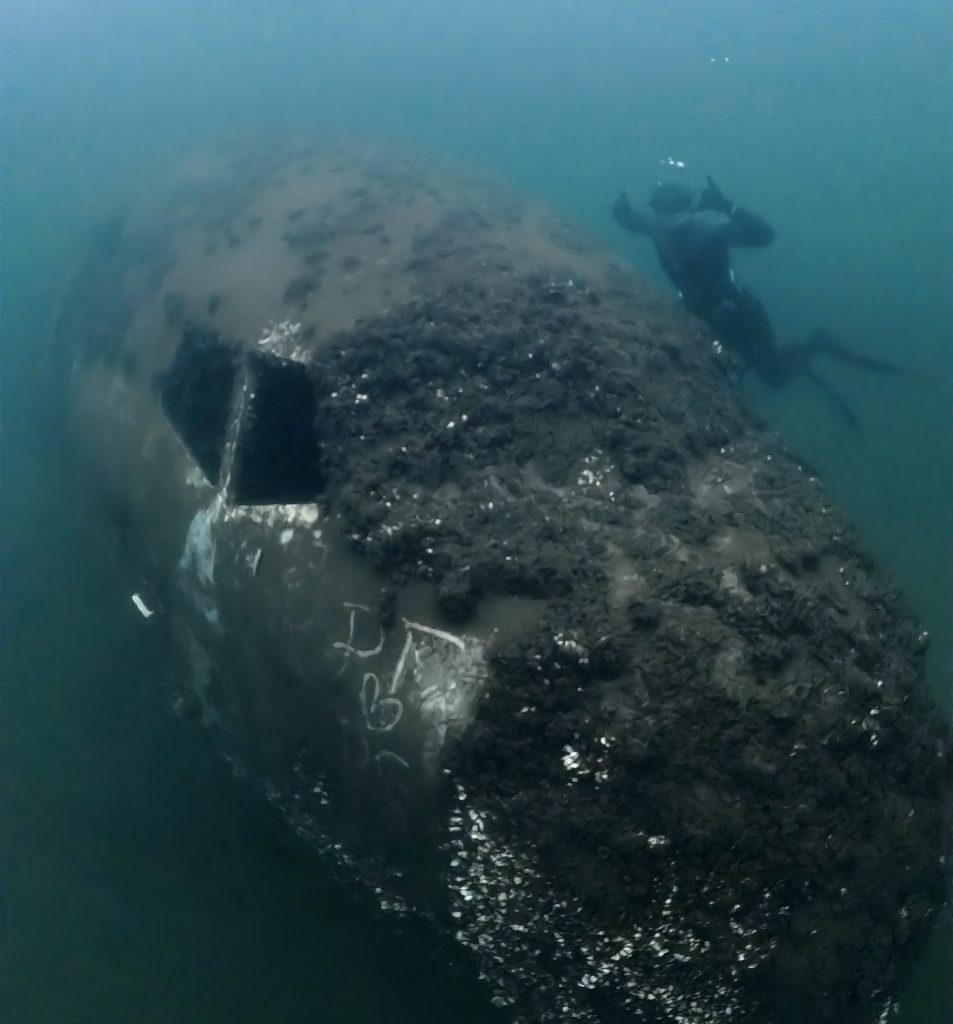 IMG 20250623 111344 166